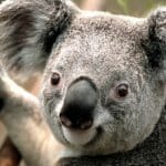 Zdjęcie profilowe Klaudia Żukowska