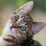 Zdjęcie profilowe Magda Maria