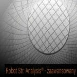 Group logo of Robot Structural Analysis – poziom zaawansowany