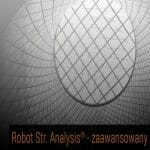 Logo grupy Robot Structural Analysis – poziom zaawansowany