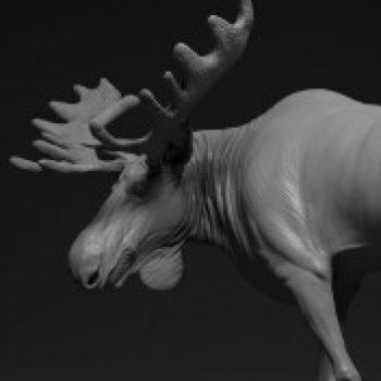 Group logo of Mudbox kurs podstawowy